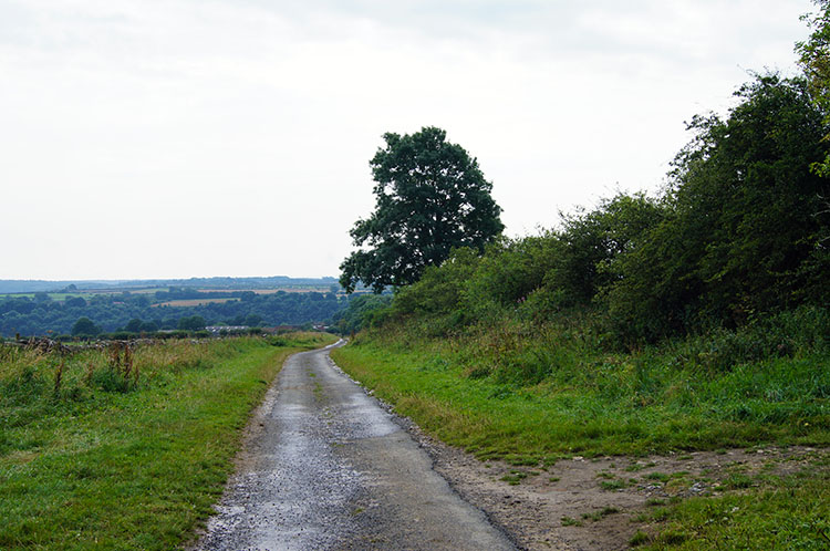 The track from Levisham Moor into the village