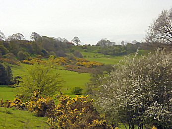 Countryside near Roxby in spring colour