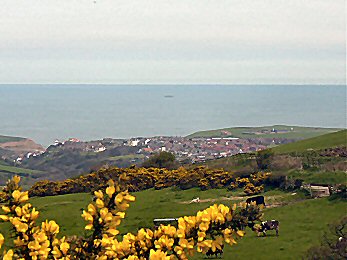 Looking to Staithes from near Oaks Farm