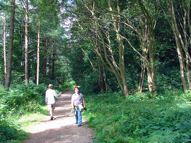 Walks in North Yorkshire - Helmsley and Rievaulx Abbey