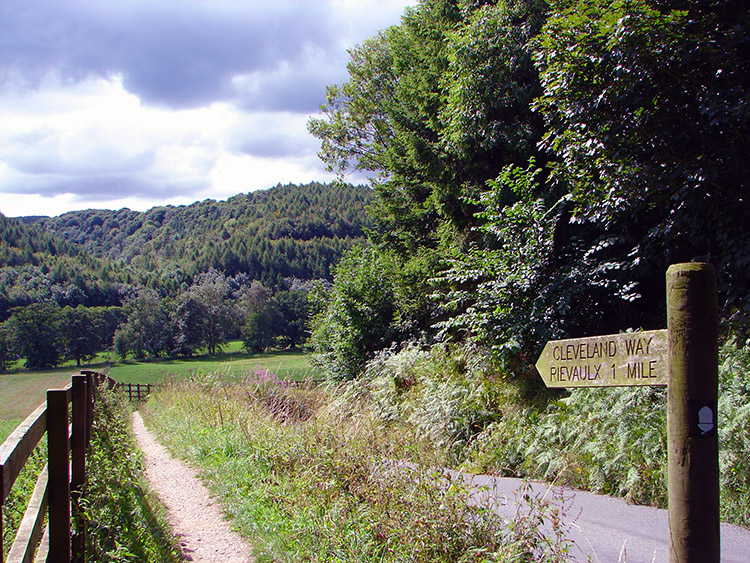 Out of the woods at Ingdale Howl