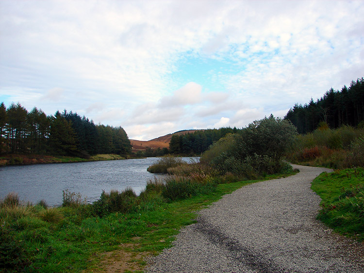 Looking back to Scarth Wood Moor