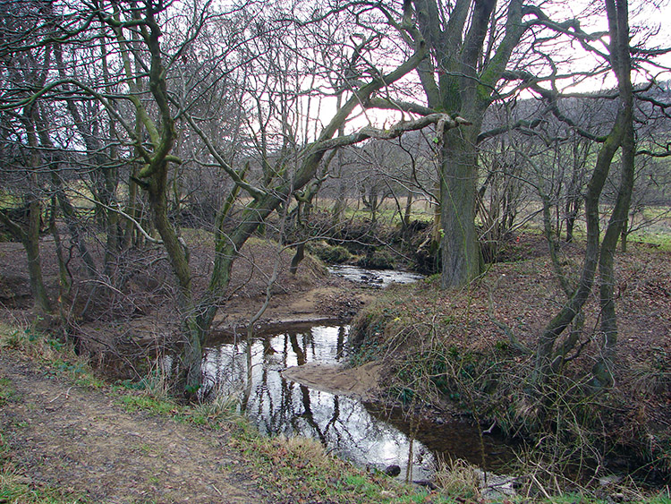 Ladhill Gill, Hawnby