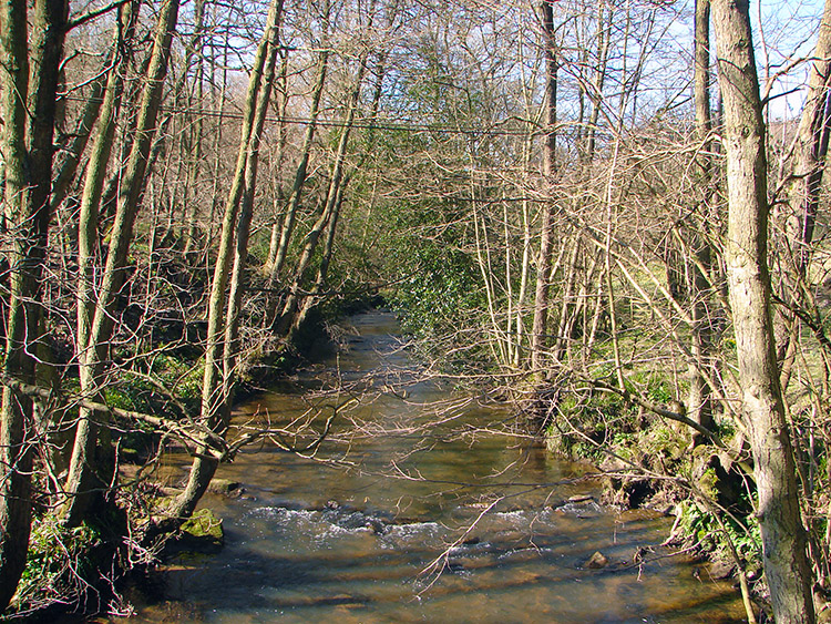 River Dove near Lowna Bridge