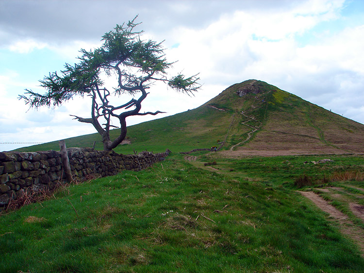The climb to Roseberry Topping