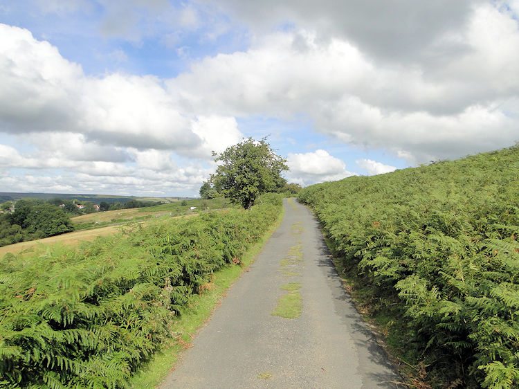 Track across Mill Moor