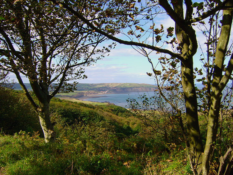 Delightful walking from Ravenscar to Stoupe Brow