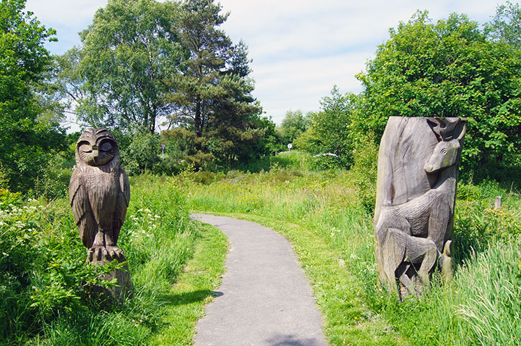 Wood carvings at Sutton Bank