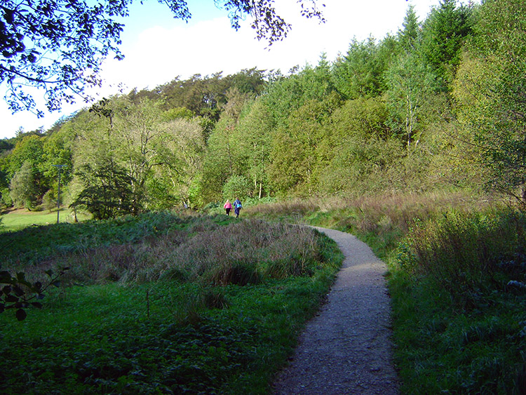 The path from Stain Dale to Dove Dale