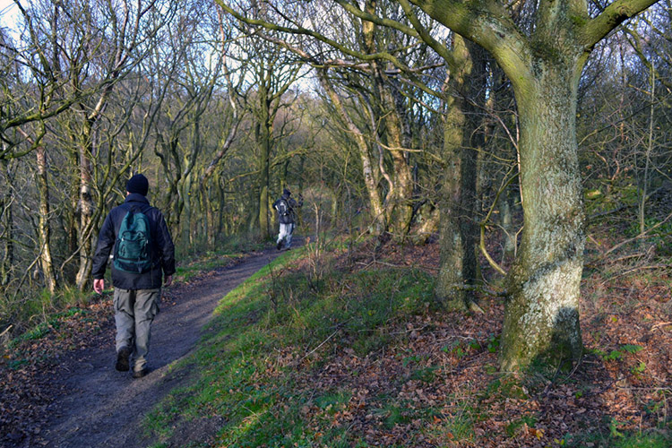 Walking through Garbutt Wood