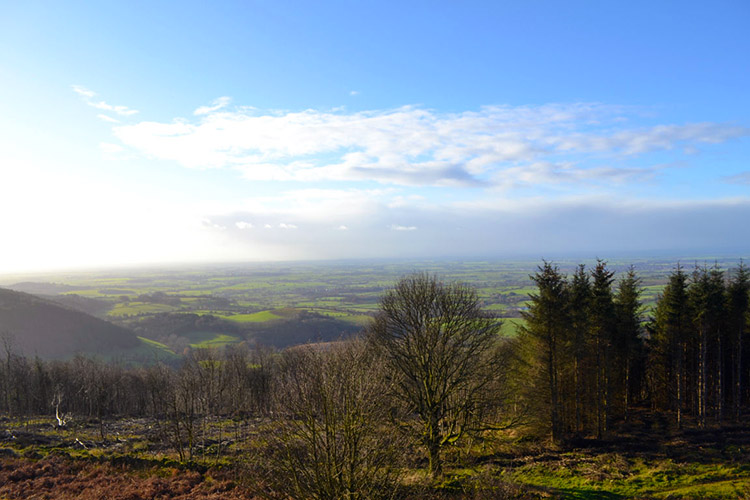 The view west from Boltby Scar