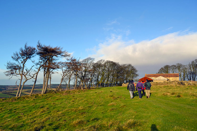 Walking along the escarpment to High Barn