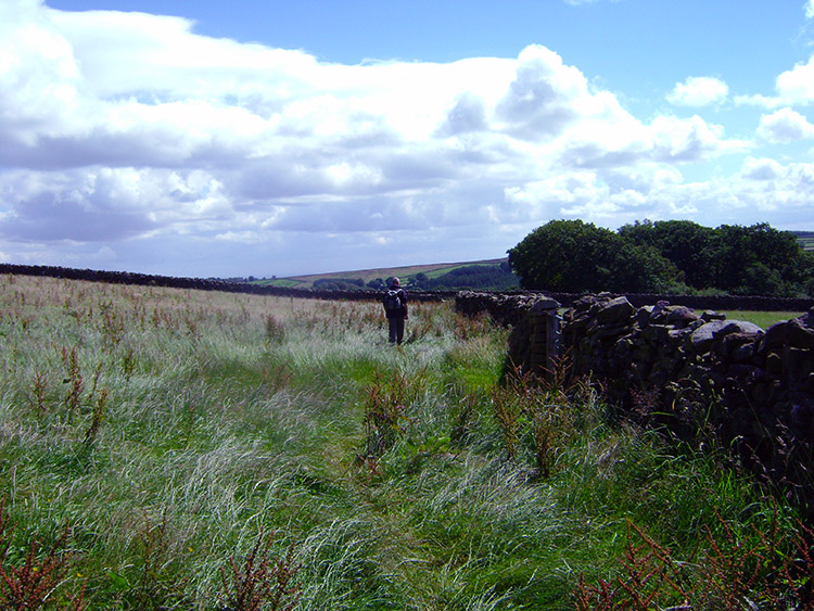 Crossing fields near Dalton Lodge