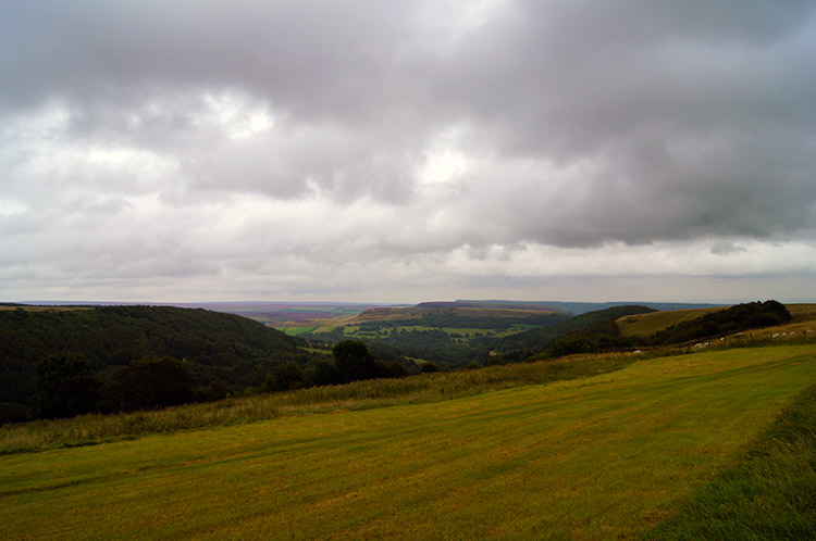 View to Hawnby Hill and Easterside Hill