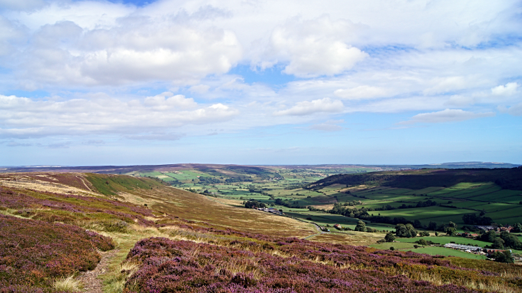 View of Esk Dale from Danby Rigg