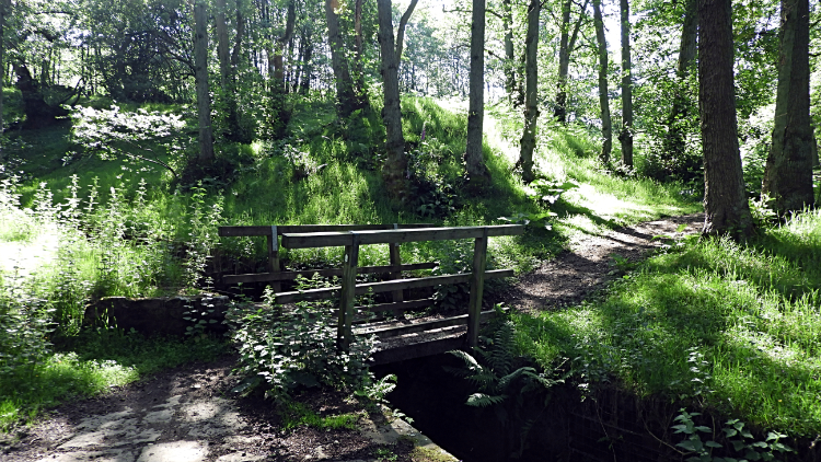 Footbridge over Jenny Brewster's Spring