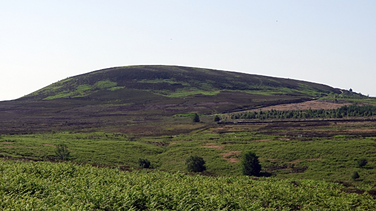 View of Black Hambleton from Square Corner