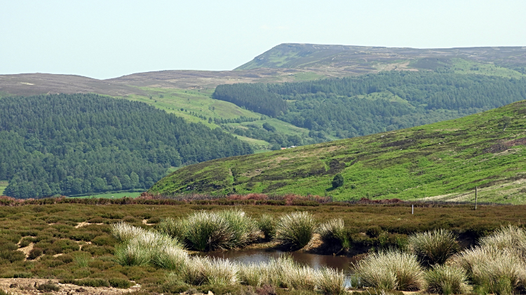 View to the Cleveland Hills