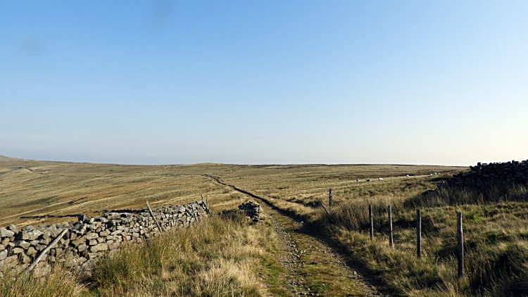 The path on the edge of Lofthouse Moor