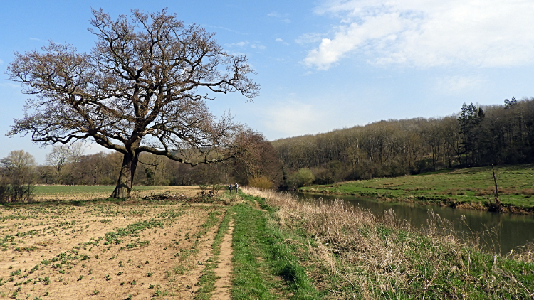 Path alongside the River Derwent