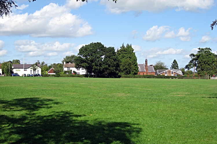 Common parkland in Holmer Green