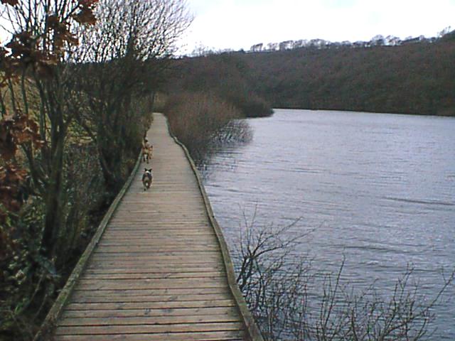 Linacre Upper Reservoir boardwalk