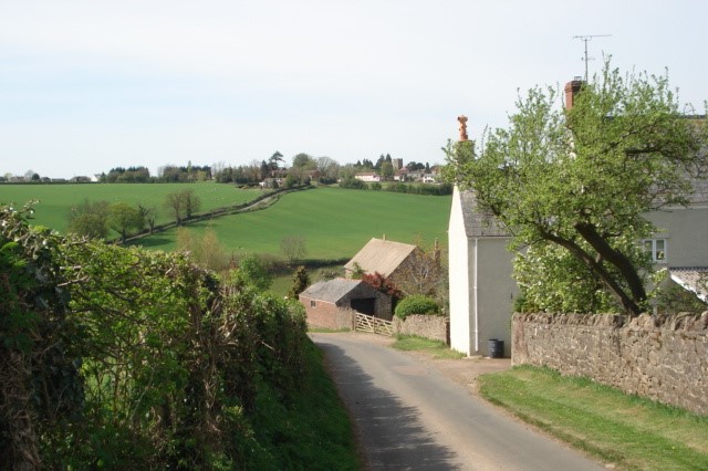 View to English Bicknor from the south