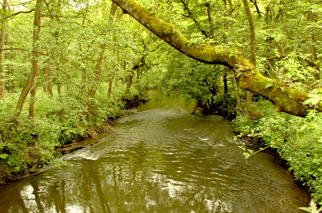 River Churnet