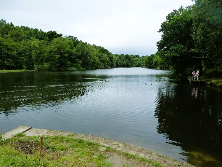 Cannop Ponds