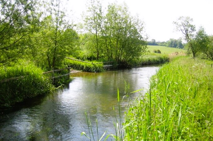 River Thame near Nether Winchendon