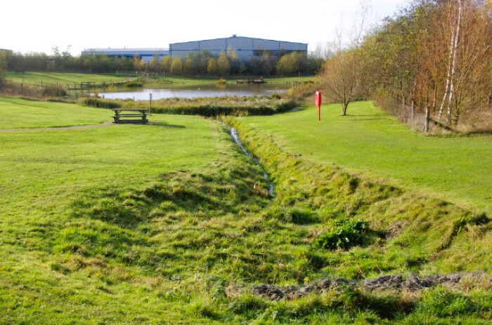 Rewilding on the site of Moorgreen Colliery