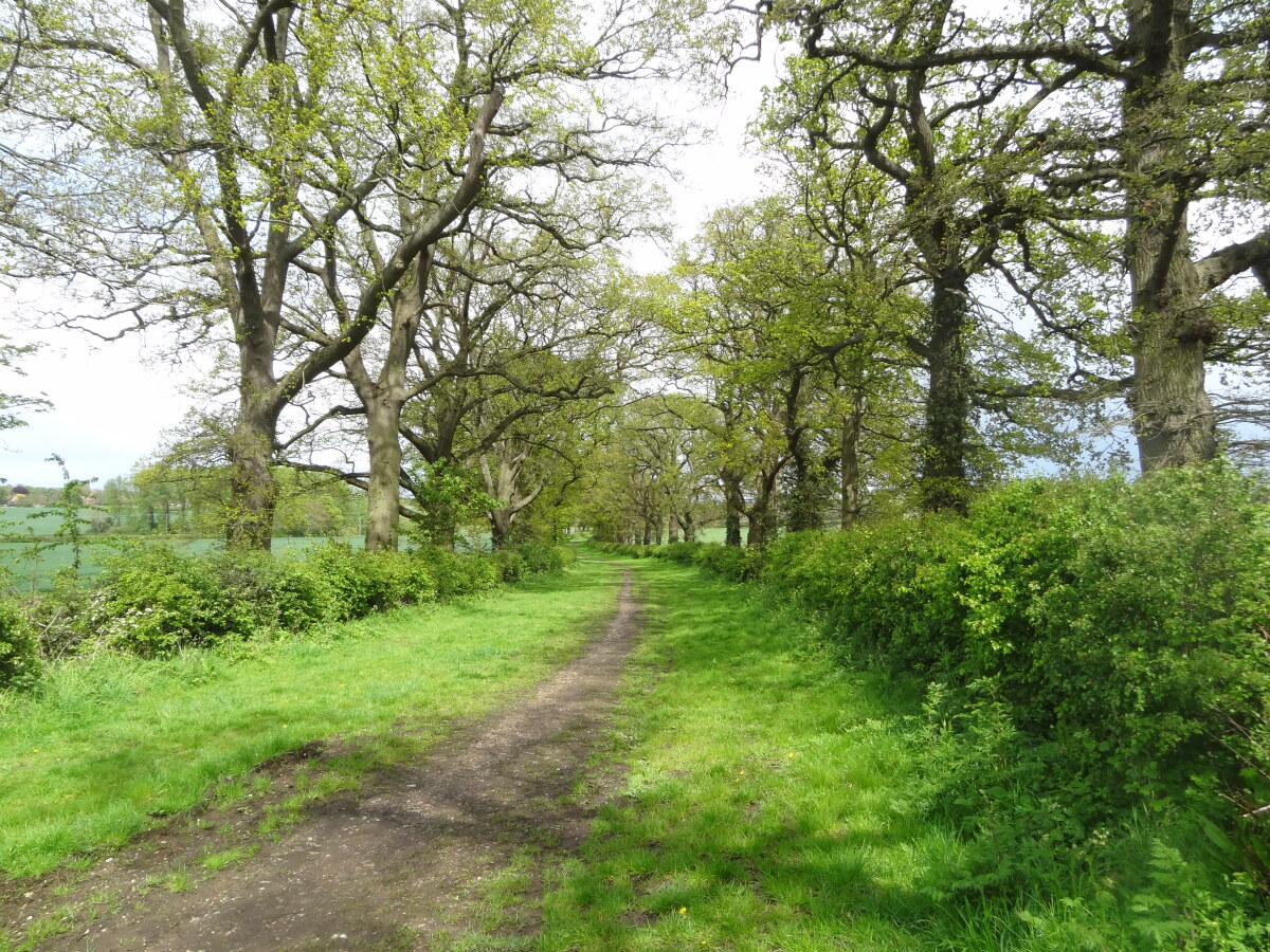 Country lane near Althop Park