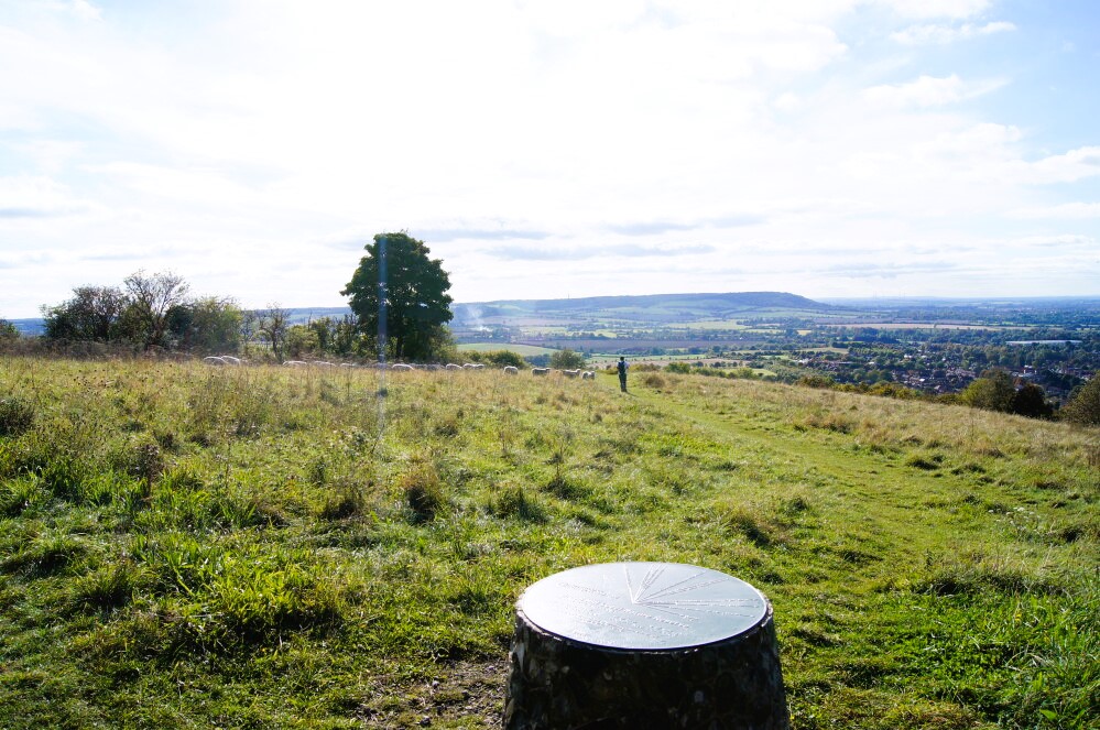 Brush Hill Local Nature Reserve