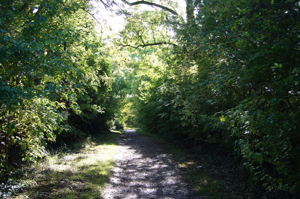 Icknield Way at Princes Risborough