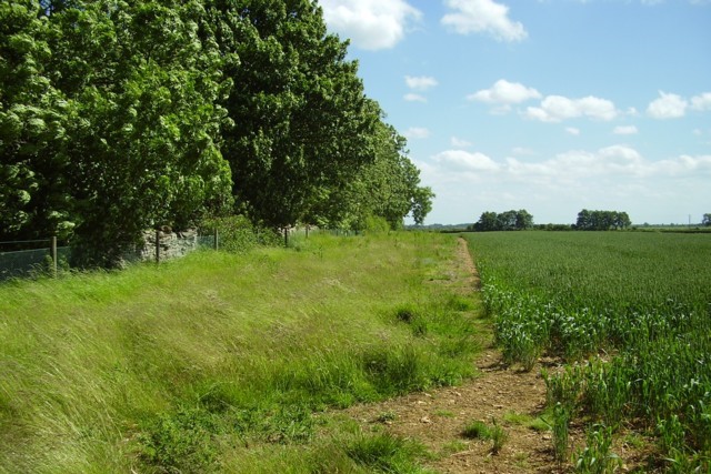 Countryside of Lindsey Marsh