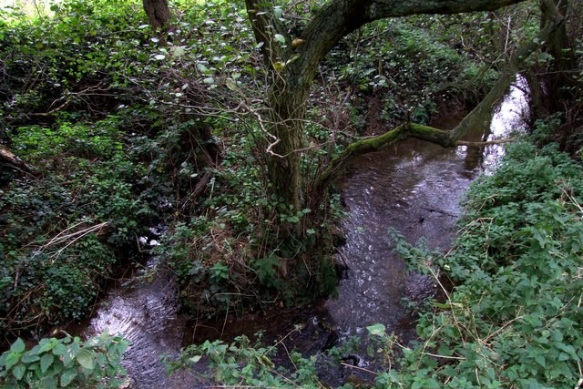 Alfred, Lord Tennyson's babbling brook