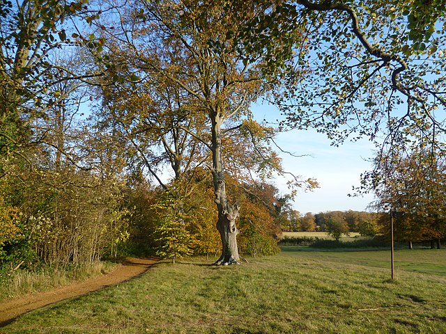 Wandlebury Park