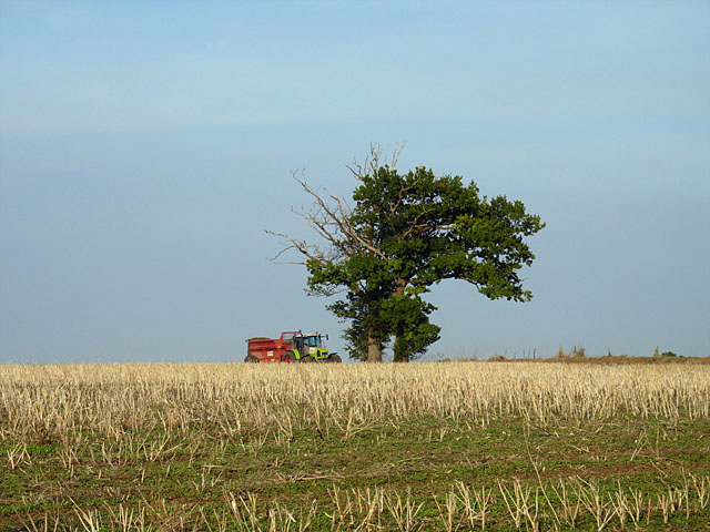 A rural scene on the Bigod Way