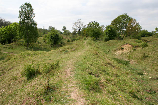 Former limestone quarries on the reserve