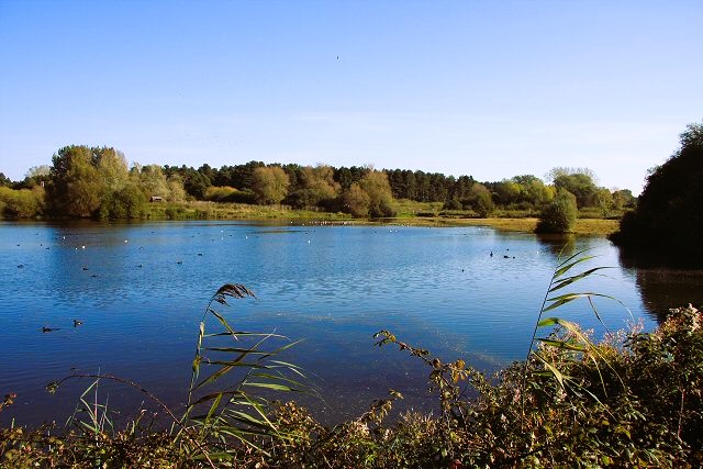 Lackford Lakes Nature Reserve