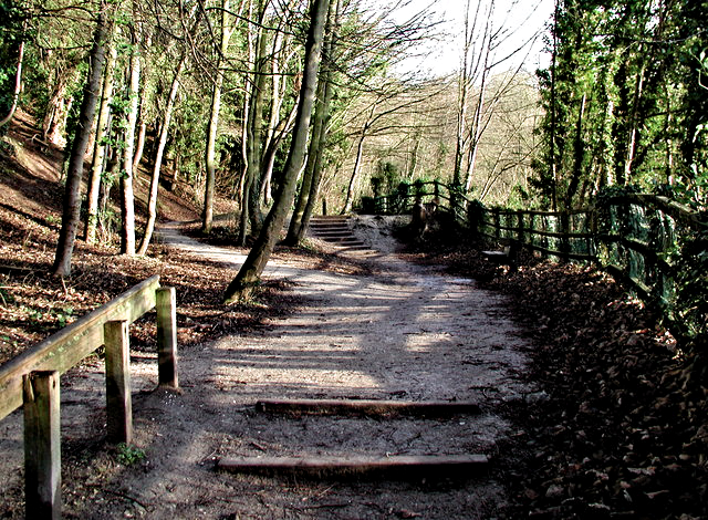 Steps in Humber Bridge Country Park