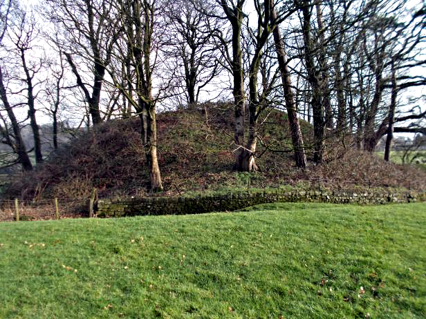 Site of Castle Stede