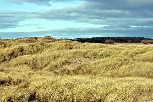 Grassy sand dunes at Raven Meols