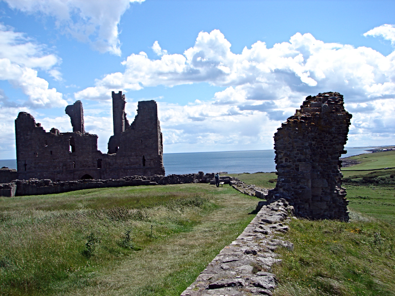 In the grounds of Dunstanburgh Castle