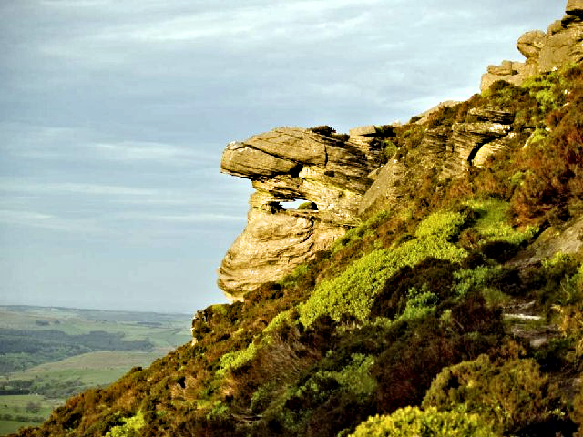 Outcrop on Tosson Hill