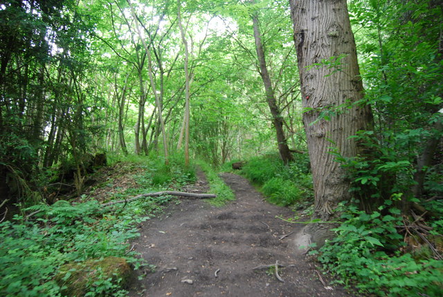 Following the Greensand Way on Shingle Hill