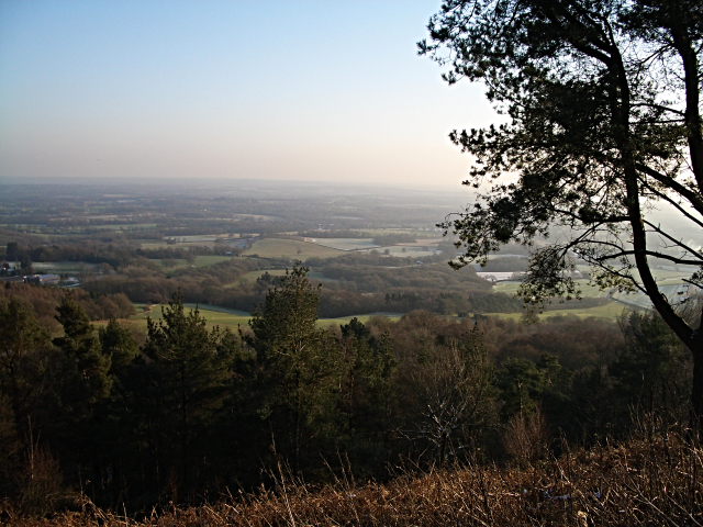 The view from Leith Hill