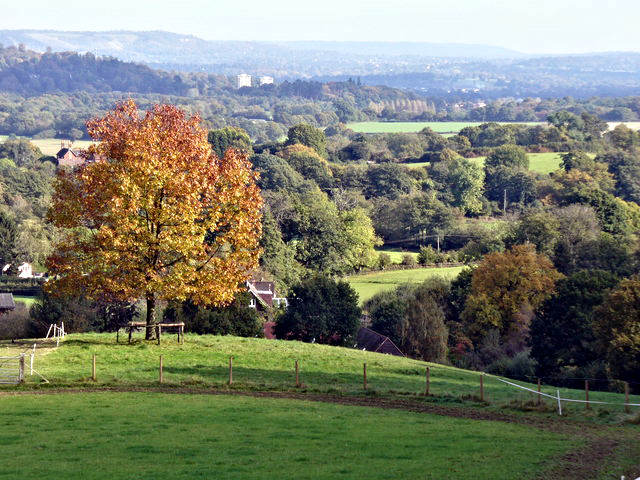 View towards Dorking from Wotton Common