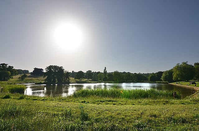 One of Hampstead Heath's ponds