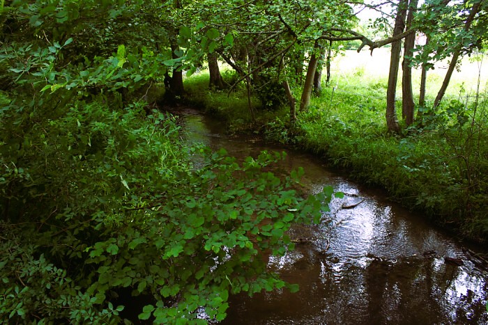 River Bourne at Plaxtol Spout